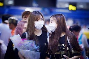 黑喵cp最新爆料是谁,神秘幕后黑手揭晓！”  第1张