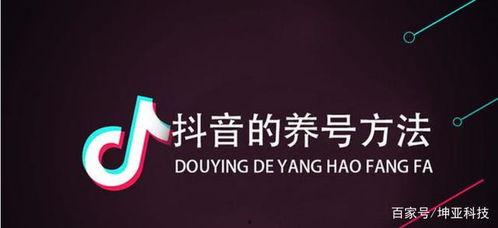爆料如何投稿抖音文案视频,如何从爆料中创作热门视频  第2张
